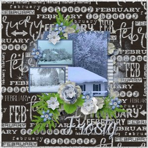 Frosty February