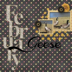 February Geese