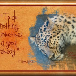 ATC 2017-31 To Do Nothing