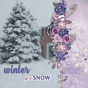 Winter-Snow
