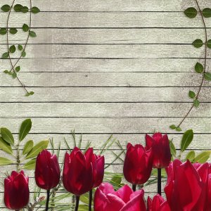 I Dream of Spring