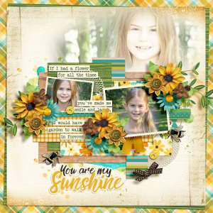 You Are My Sunshine