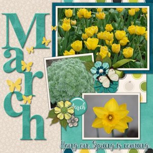#2017 March