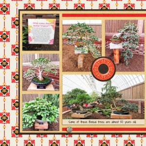 Bonsai at Phipps, left side