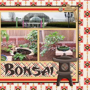 Bonsai at Phipps, right side