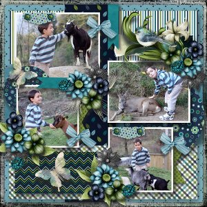 My life in photobook 18