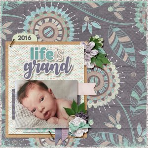 Baby Schultz