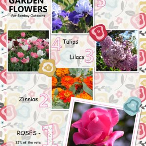 Top 5 Garden Flowers