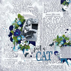 Pet A Cat