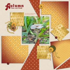 Autumn has arrived