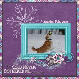 Sparky 2010