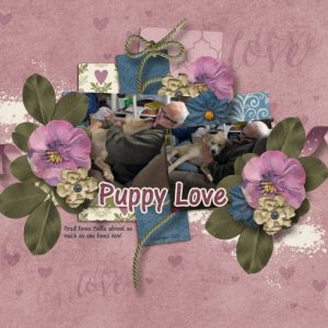 Puppy Love