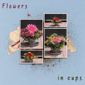 Flowers in cups