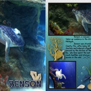 Benson