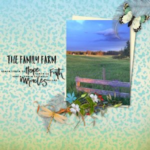 The Family Farm