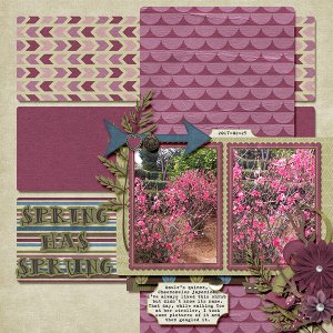 spring_has_sprung3