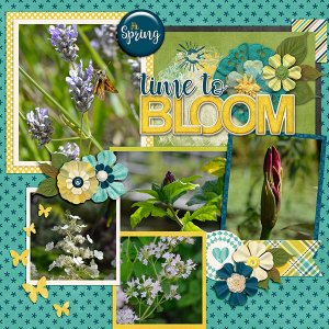 Spring Blooms 2016