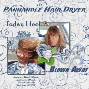 Panhandle Hair Dryer