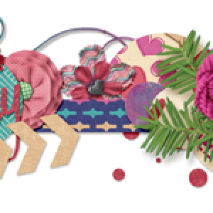 Feb. siggy