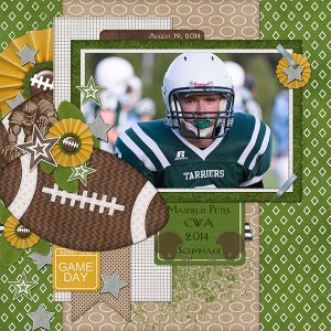 Football Fan