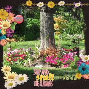 Flowers Galore