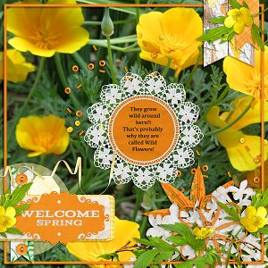 Welcome Spring!