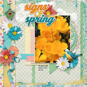 Signs of Spring