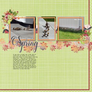 June-16-Spring-time-babiesWEB