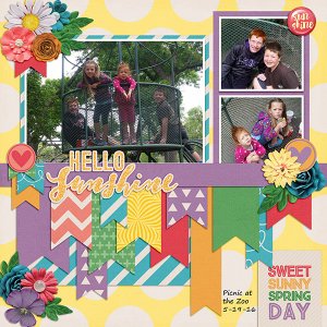 Zoo Picnic