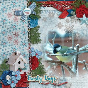 Frosty-days