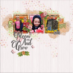 Bloom and Grow