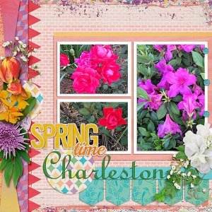 Flowers in Charleston