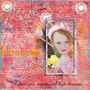 Blossom