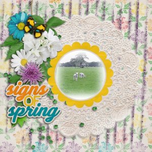Signs of Spring 1