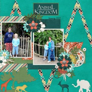 Animal Kingdom