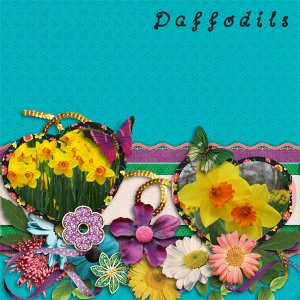 Daffodils