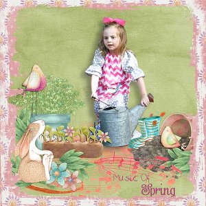 Spring Watering