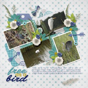 Free as a Bird