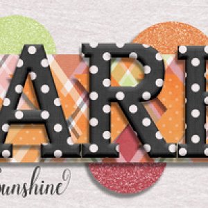 March 2017 Sig Challenge