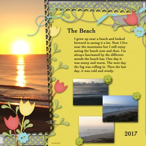 The Beach