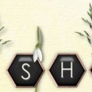Sherri March 17 Signature