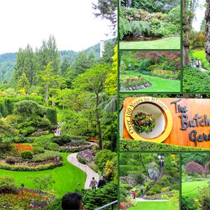 Butchart Gardens1