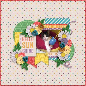 hello sunshine