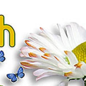 March Siggy