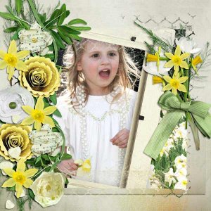 Spring Jonquils