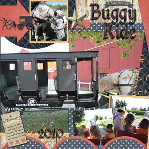 Buggy Ride 2010