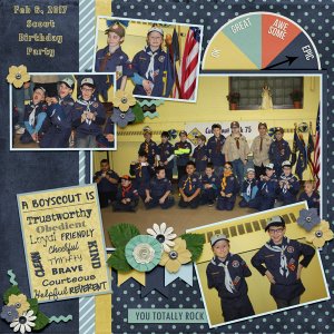 2017 Boy Scouts
