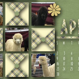 April Desktop