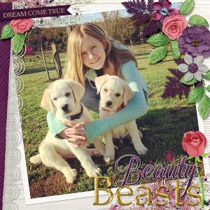 ~Beauty + the Beasts~