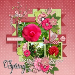 Camilia